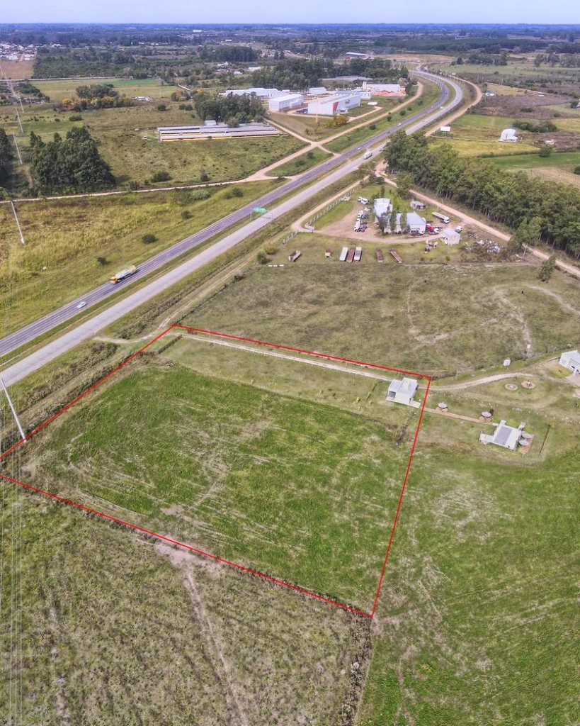 Campo en venta - San José y Colón, Entre Ríos - Martín Graff Consultor Inmobiliario