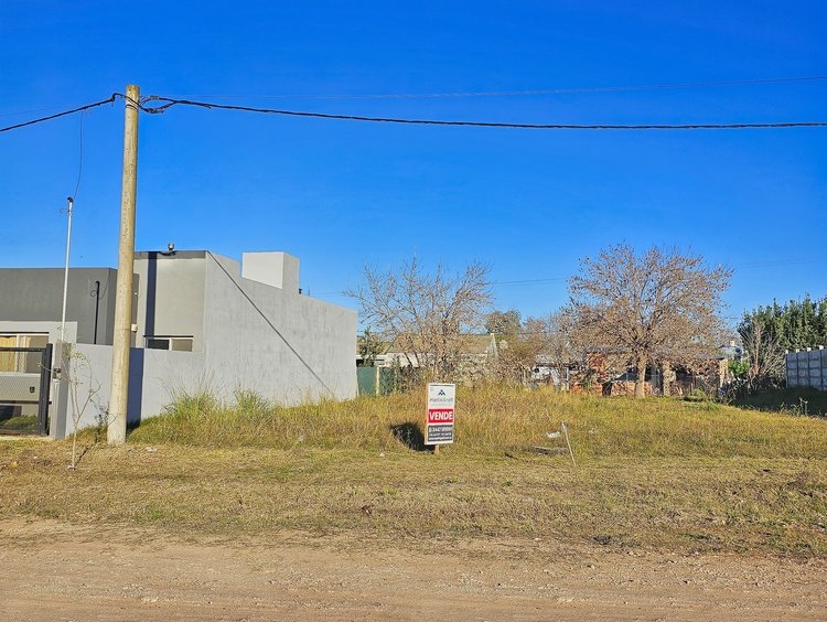 Campo en venta - San José y Colón, Entre Ríos - Martín Graff Consultor Inmobiliario