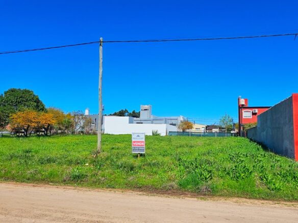 20250924_103337 (Mediana)