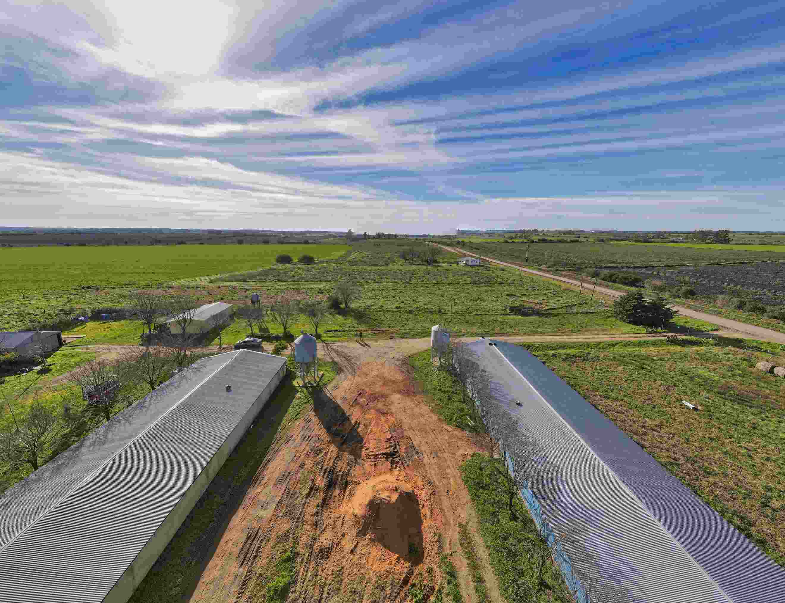 DJI_0114