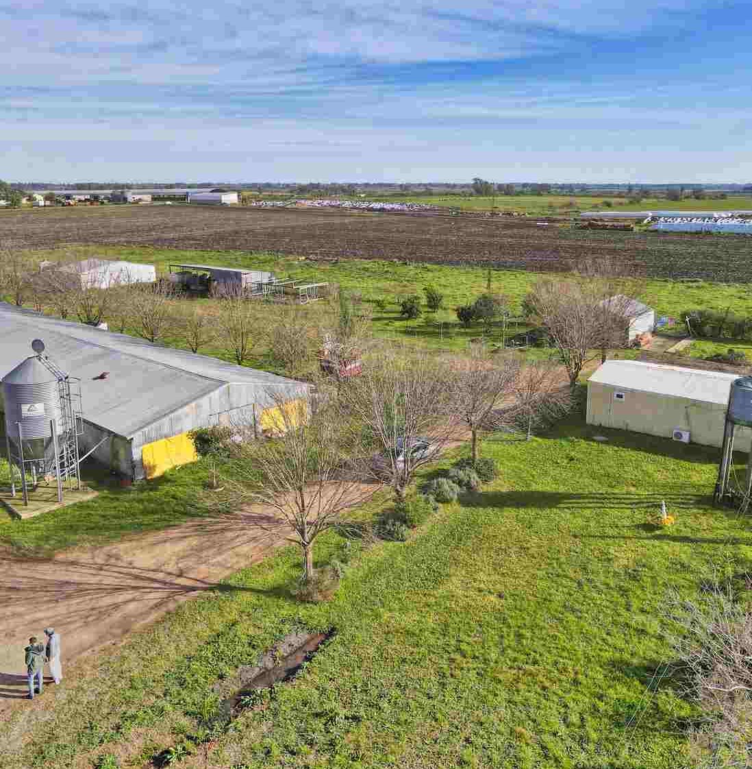 DJI_0116