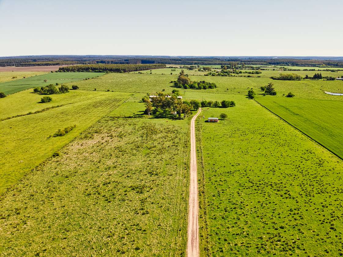 DJI_0244