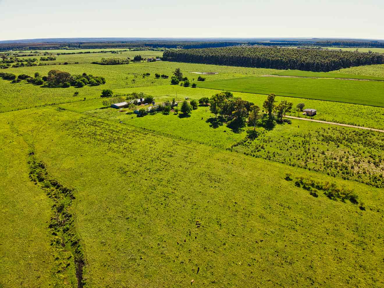 DJI_0246