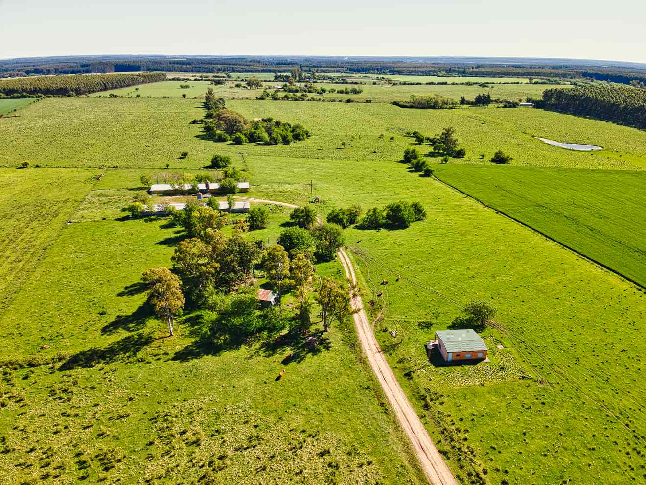 DJI_0250