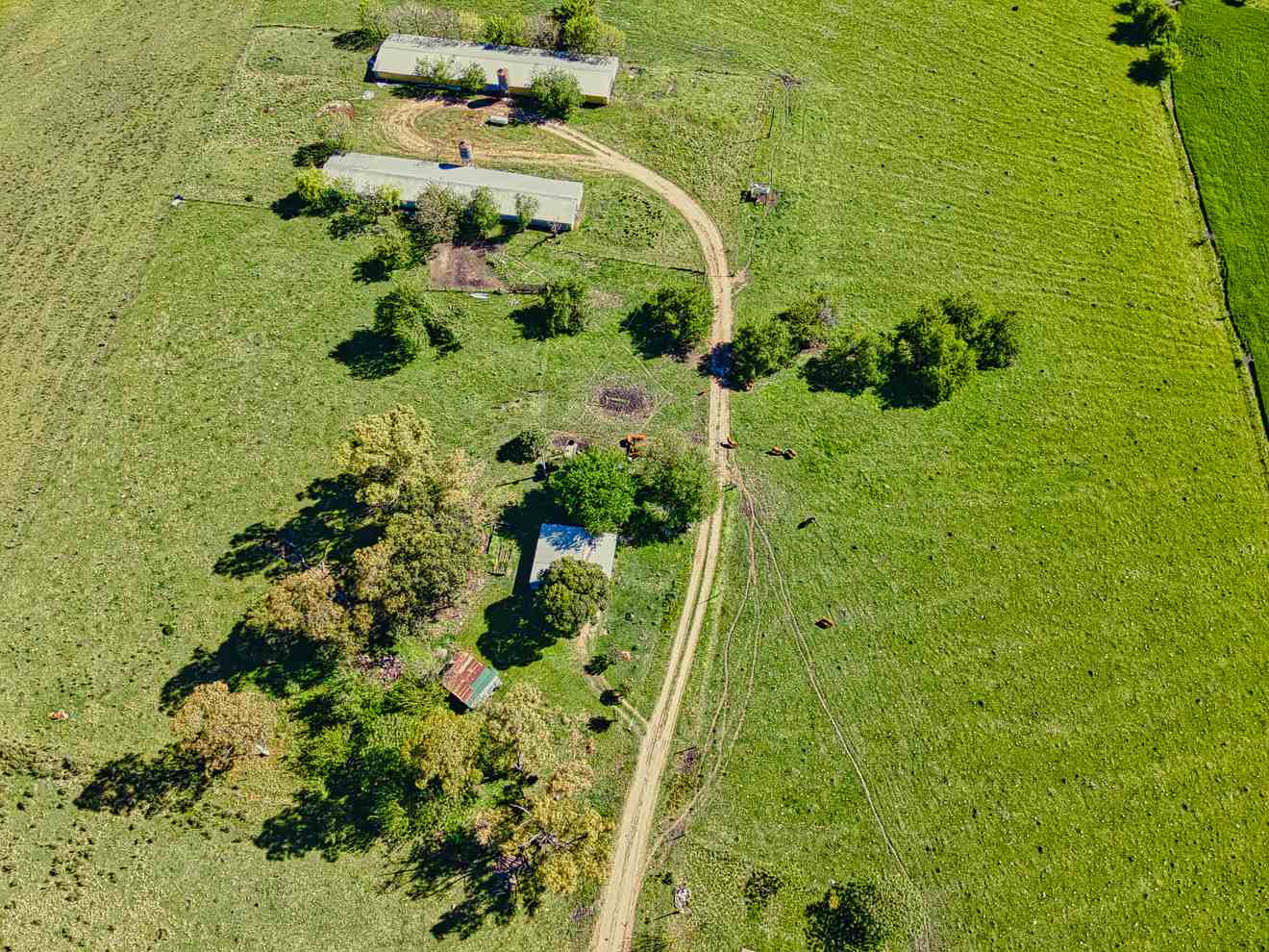 DJI_0263
