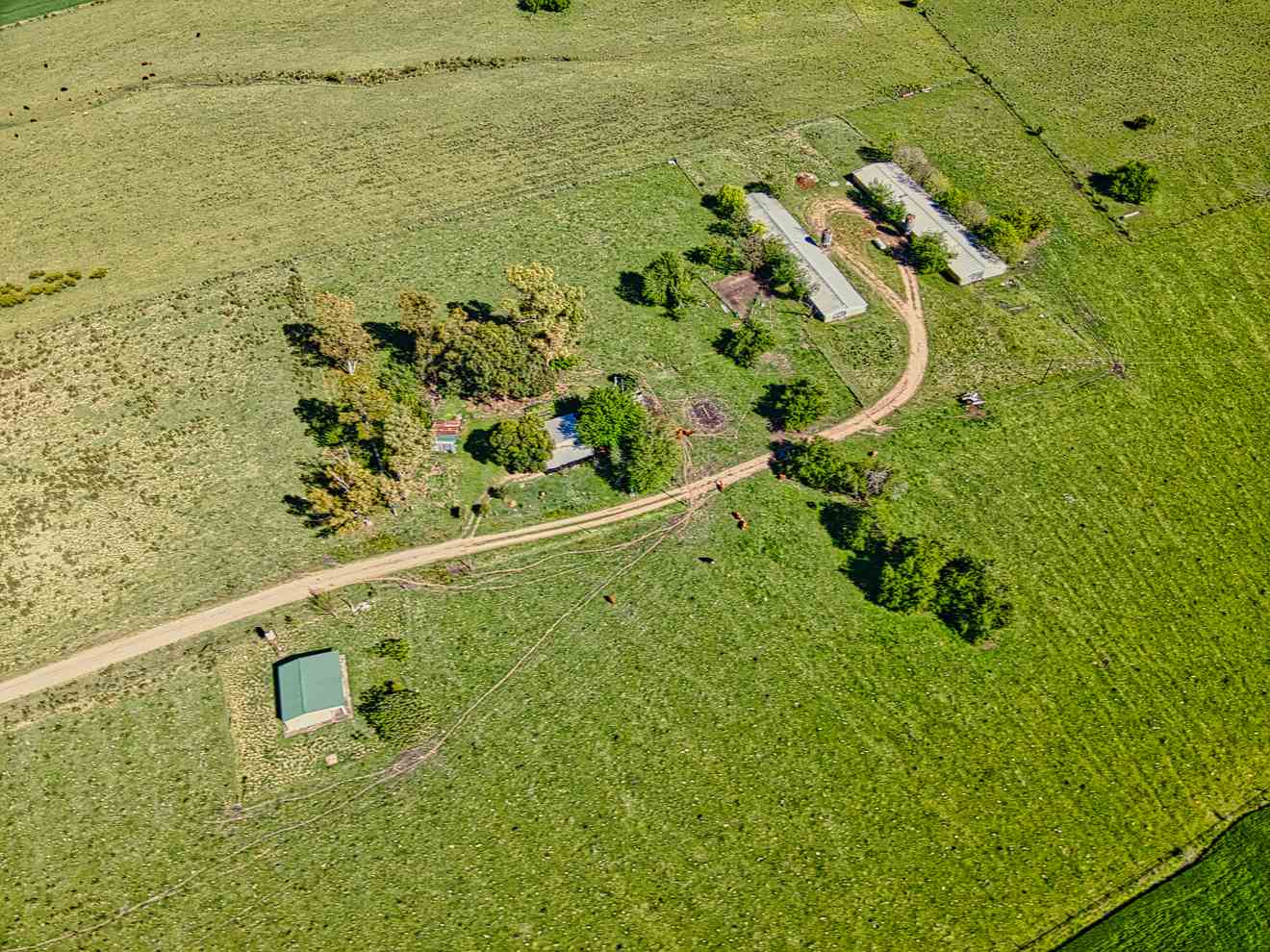 DJI_0266