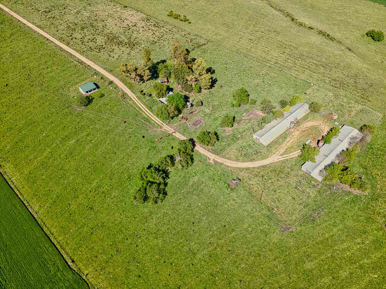 DJI_0268