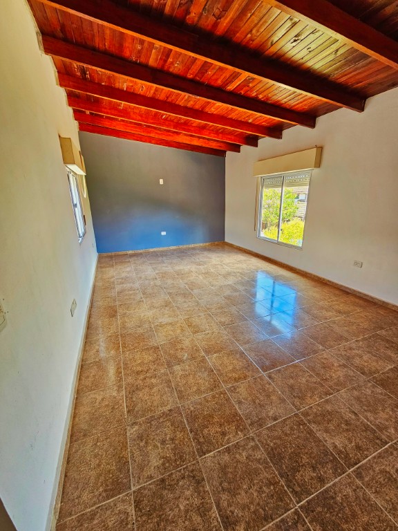 20251216_110608 (Mediana)