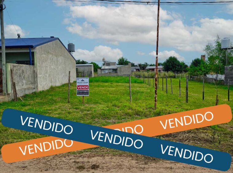 VENDIDO-VIOLA